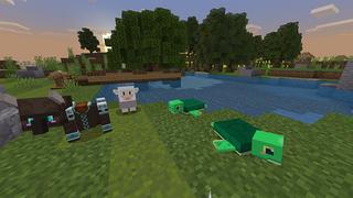 Screenshot of the Minecraft Bedrock Marketplace product Pocket Pets created by Mine-North.