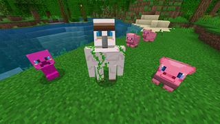 Screenshot of the Minecraft Bedrock Marketplace product Pocket Pets created by Mine-North.