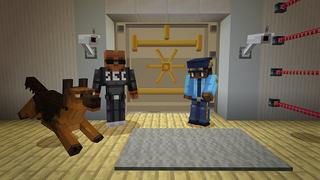 Screenshot of the Minecraft Bedrock Marketplace product Police created by Mine-North.