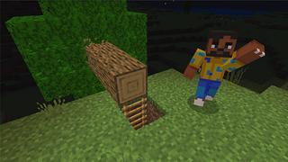 Screenshot of the Minecraft Bedrock Marketplace product Secret Tree Base created by Mine-North.