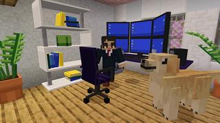 Screenshot of the Minecraft Bedrock Marketplace product Security Bundle created by Mine-North.