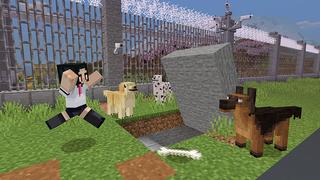 Screenshot of the Minecraft Bedrock Marketplace product Security Bundle created by Mine-North.