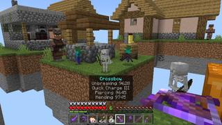 Screenshot of the Minecraft Bedrock Marketplace product Skyblock Bundle created by Mine-North.