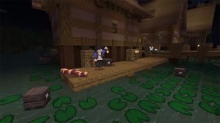 Screenshot of the Minecraft Bedrock Marketplace product Swamp created by Mine-North.