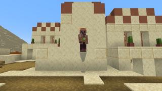 Screenshot of the Minecraft Bedrock Marketplace product Totems created by Mine-North.