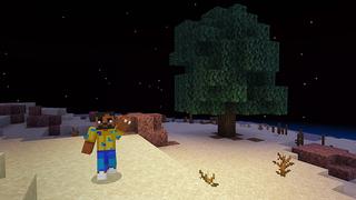 Screenshot of the Minecraft Bedrock Marketplace product Ultra Hardcore Mode created by Mine-North.