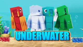 Thumbnail of the Minecraft Bedrock Marketplace product Underwater World created by Mine-North.
