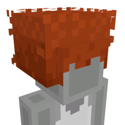 Thumbnail of the Minecraft Bedrock Marketplace product Afro created by Minecraft.