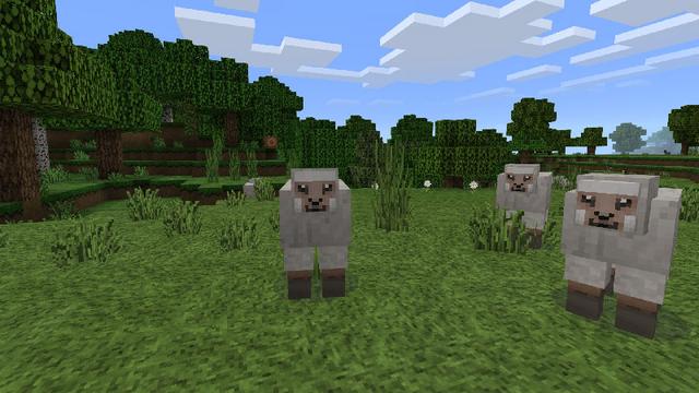 Screenshot of the Minecraft Bedrock Marketplace product Pacote de texturas da cidade created by Minecraft.