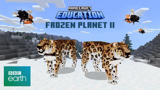 Thumbnail of the Minecraft Bedrock Marketplace product Frozen Lands created by Minecraft.