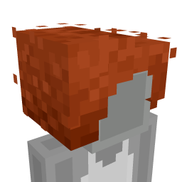 Thumbnail of the Minecraft Bedrock Marketplace product Natural Curls created by Minecraft.