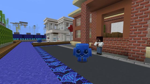 Screenshot of the Minecraft Bedrock Marketplace product Privacy Prodigy created by Minecraft.