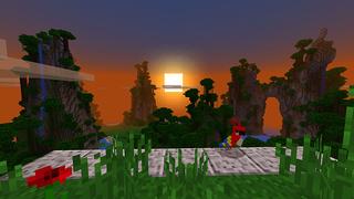 Screenshot of the Minecraft Bedrock Marketplace product Purple Parrot Party Palace created by Minecraft.