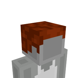 Thumbnail of the Minecraft Bedrock Marketplace product Steve's Hair created by Minecraft.