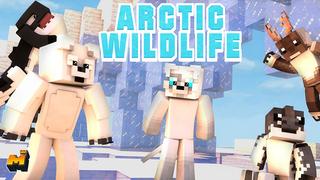 Thumbnail of the Minecraft Bedrock Marketplace product Arctic Wildlife created by Mineplex.