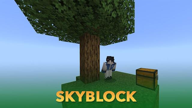 Screenshot of the Minecraft Bedrock Marketplace product Mineplex created by Mineplex.