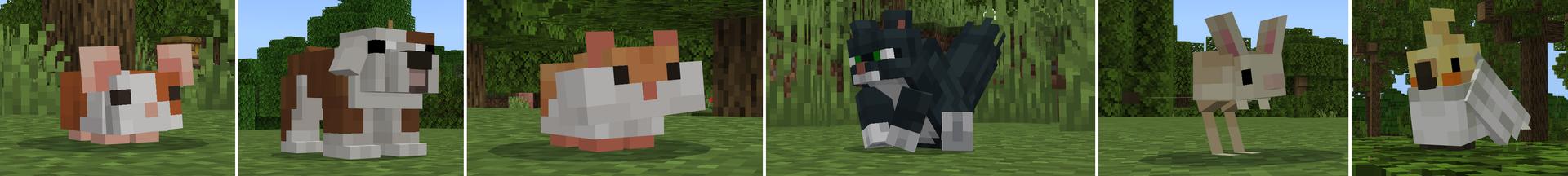 Panorama of the Minecraft Bedrock Marketplace product ANIMAL SHELTER created by Minty.