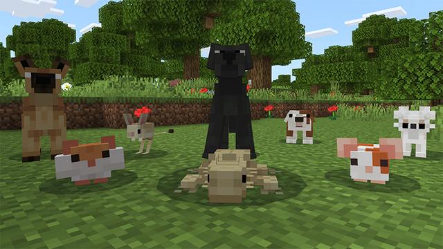 Screenshot of the Minecraft Bedrock Marketplace product ANIMAL SHELTER created by Minty.