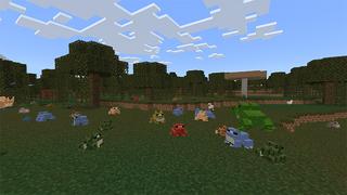 Screenshot of the Minecraft Bedrock Marketplace product Frog Collector created by MobBlocks.