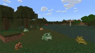 Screenshot of the Minecraft Bedrock Marketplace product Frog Collector created by MobBlocks.