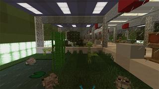 Screenshot of the Minecraft Bedrock Marketplace product Frog Collector created by MobBlocks.