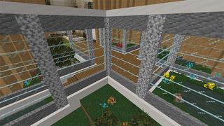 Screenshot of the Minecraft Bedrock Marketplace product Frog Collector created by MobBlocks.