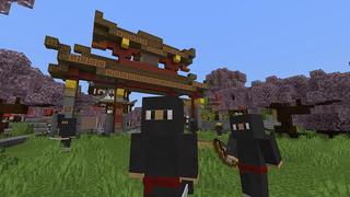 Screenshot of the Minecraft Bedrock Marketplace product Ninja Town created by MobBlocks.