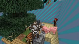 Screenshot of the Minecraft Bedrock Marketplace product One Block Captive created by MobBlocks.