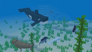 Screenshot of the Minecraft Bedrock Marketplace product Sea Life Island created by MobBlocks.