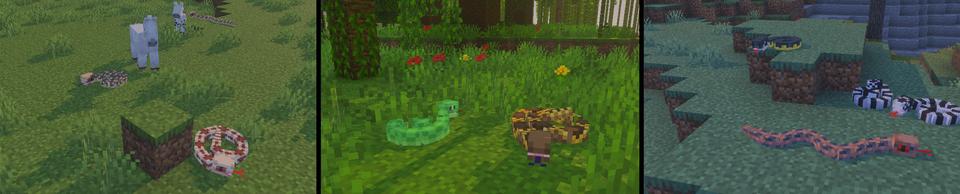Panorama of the Minecraft Bedrock Marketplace product Snakes created by MobBlocks.