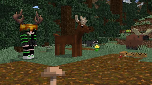 Screenshot of the Minecraft Bedrock Marketplace product Survival ++ created by MobBlocks.