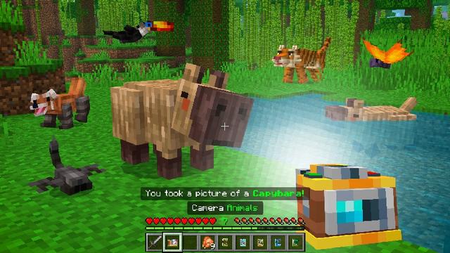Screenshot of the Minecraft Bedrock Marketplace product Animals Add-On created by Mod Block.