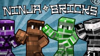 Thumbnail of the Minecraft Bedrock Marketplace product Ninja Bricks created by Monster Egg Studios.