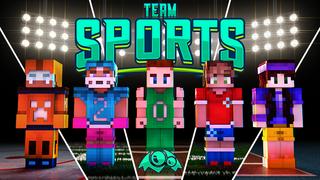 Thumbnail of the Minecraft Bedrock Marketplace product Team Sports created by Monster Egg Studios.