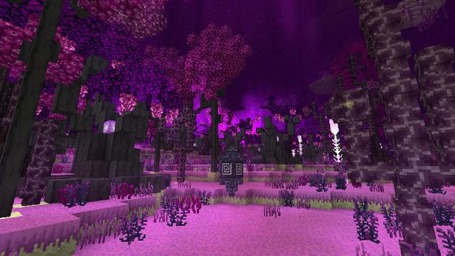Screenshot of the Minecraft Bedrock Marketplace product Beyond The End Add-On created by Netherpixel.
