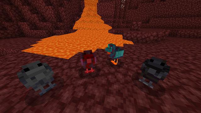 Screenshot of the Minecraft Bedrock Marketplace product Chicken Block created by Netherpixel.