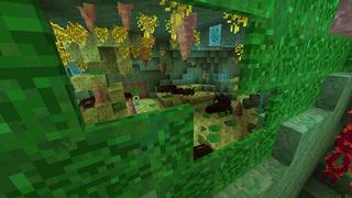 Screenshot of the Minecraft Bedrock Marketplace product Deep Caves created by Netherpixel.