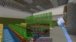 Screenshot of the Minecraft Bedrock Marketplace product Modded Tools and Secret Armory created by Netherpixel.