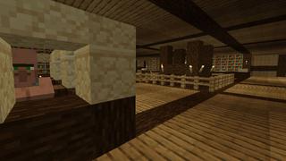 Screenshot of the Minecraft Bedrock Marketplace product Dream Stream created by Next Studio.