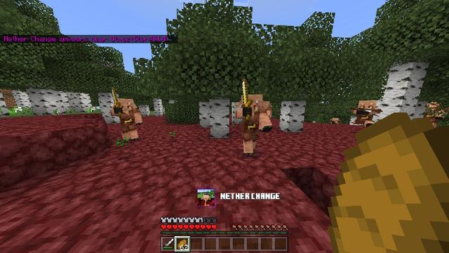 Screenshot of the Minecraft Bedrock Marketplace product Random Disasters Survival created by Next Studio.