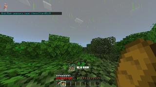 Screenshot of the Minecraft Bedrock Marketplace product Random Disasters Survival created by Next Studio.