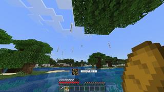 Screenshot of the Minecraft Bedrock Marketplace product Random Disasters Survival created by Next Studio.