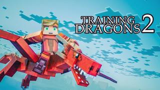 Thumbnail of the Minecraft Bedrock Marketplace product Training Dragons 2 created by Ninja Block.