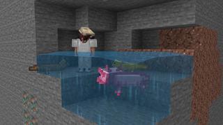 Screenshot of the Minecraft Bedrock Marketplace product Amplified One Chunk created by Nitric Concepts.