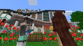 Screenshot of the Minecraft Bedrock Marketplace product Animal High School created by Nitric Concepts.