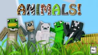Thumbnail of the Minecraft Bedrock Marketplace product Animals created by Nitric Concepts.