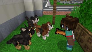 Screenshot of the Minecraft Bedrock Marketplace product Baby Pets created by Nitric Concepts.