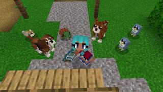 Screenshot of the Minecraft Bedrock Marketplace product Baby Pets created by Nitric Concepts.