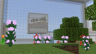 Screenshot of the Minecraft Bedrock Marketplace product Biome Boxes created by Nitric Concepts.