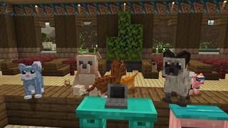 Screenshot of the Minecraft Bedrock Marketplace product Cat Cafe created by Nitric Concepts.